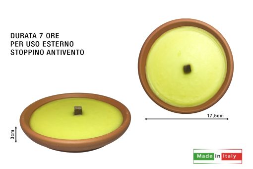 Citronella In Terracotta Cm.17