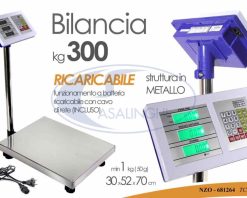 Bilancia Metallo Kg.300 Cm.30X52X70H Div. 1 Kg.-8025569681264