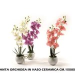 Pianta Orchidea In Vaso Ceramica Cm.15X8X36H-8034052718905